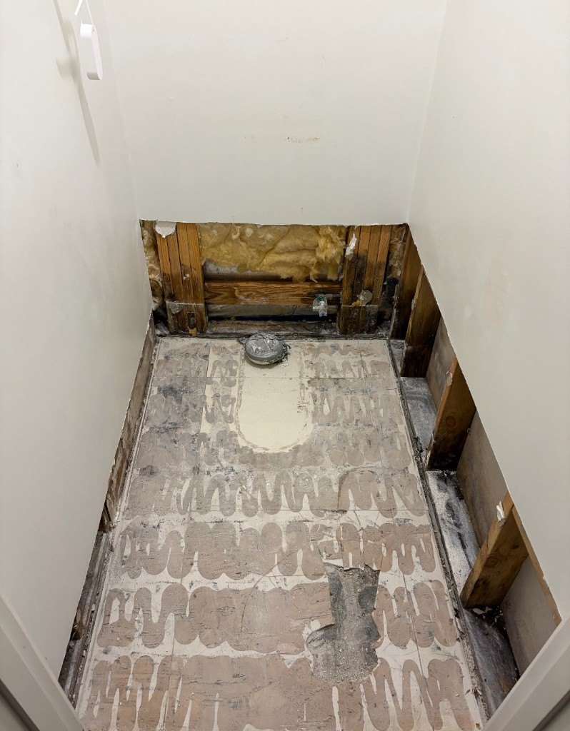 Bathroom renovation, before
